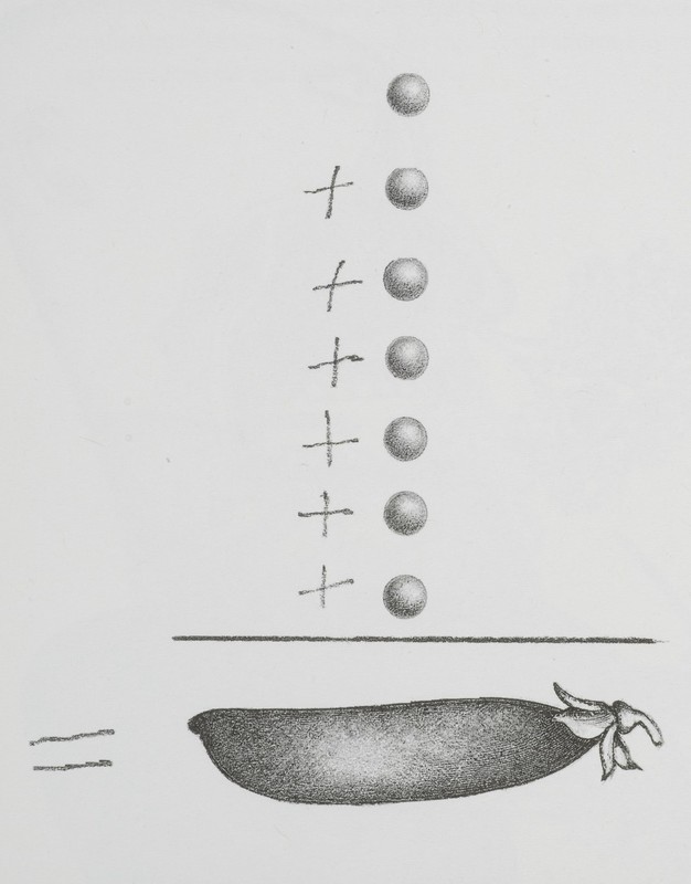 Le Petit pois - addition.jpg